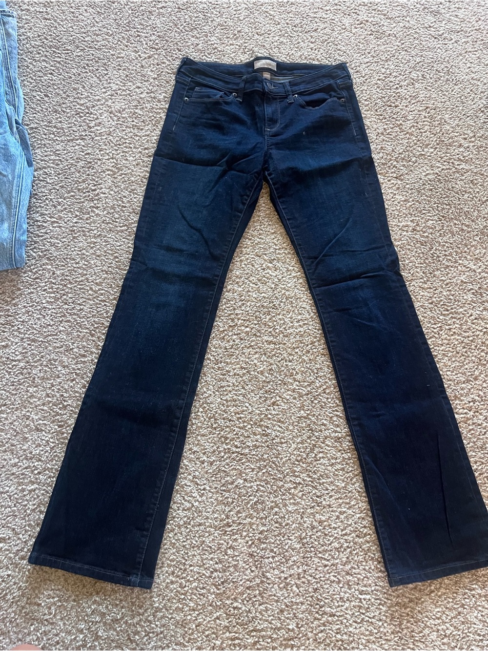 Banana Republic Women's Dark Indigo Straight Leg Jeans